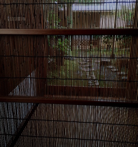 IMG_0637.JPGのサムネイル画像